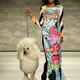 Illustration for article titled Nothing At Fashion Week Will Top Discount Universe